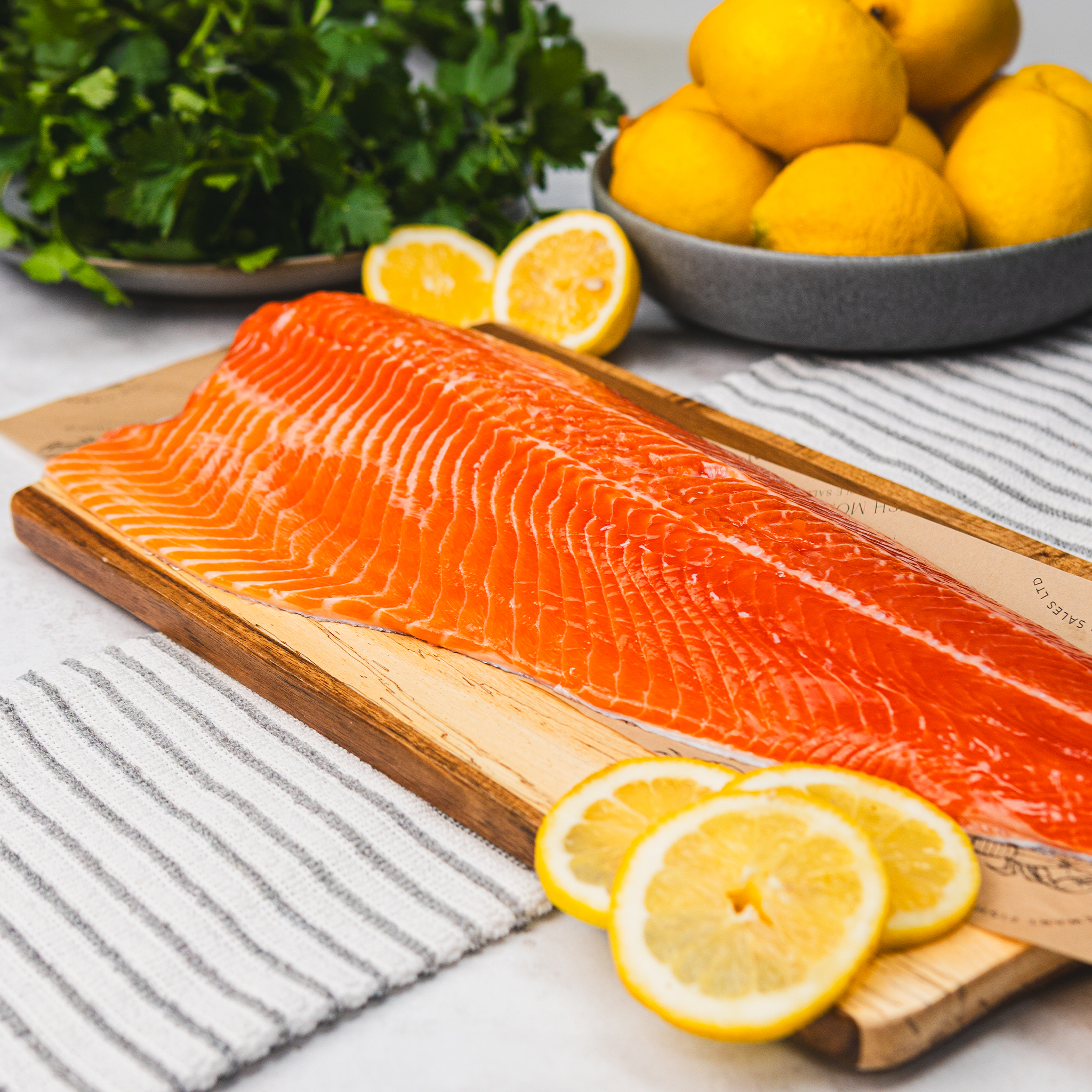 Scottish Sea Trout