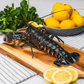 West Coast Live Lobster