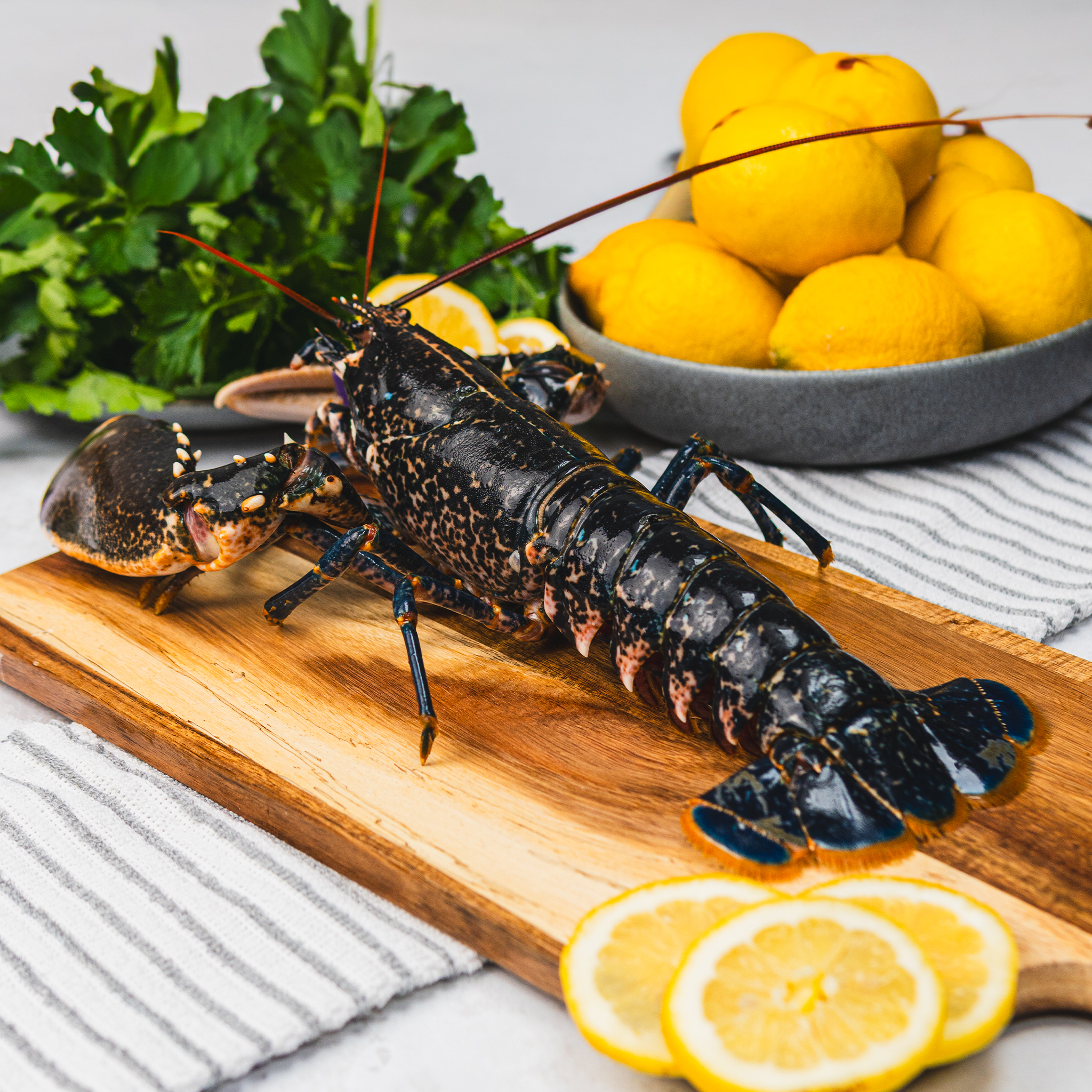 West Coast Live Lobster