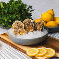 Scottish Oyster